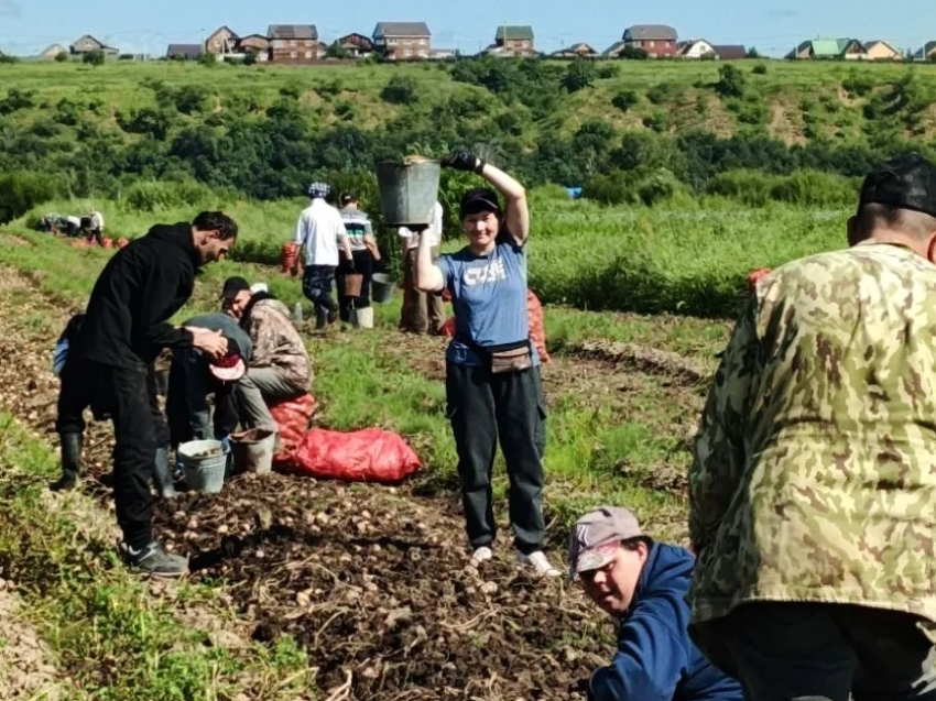 ​Подопечные Зыковского дома‑интерната приступили к сбору картофеля